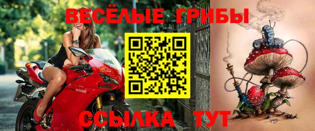 Псилоцибиновые грибы прущие грибы Богданович