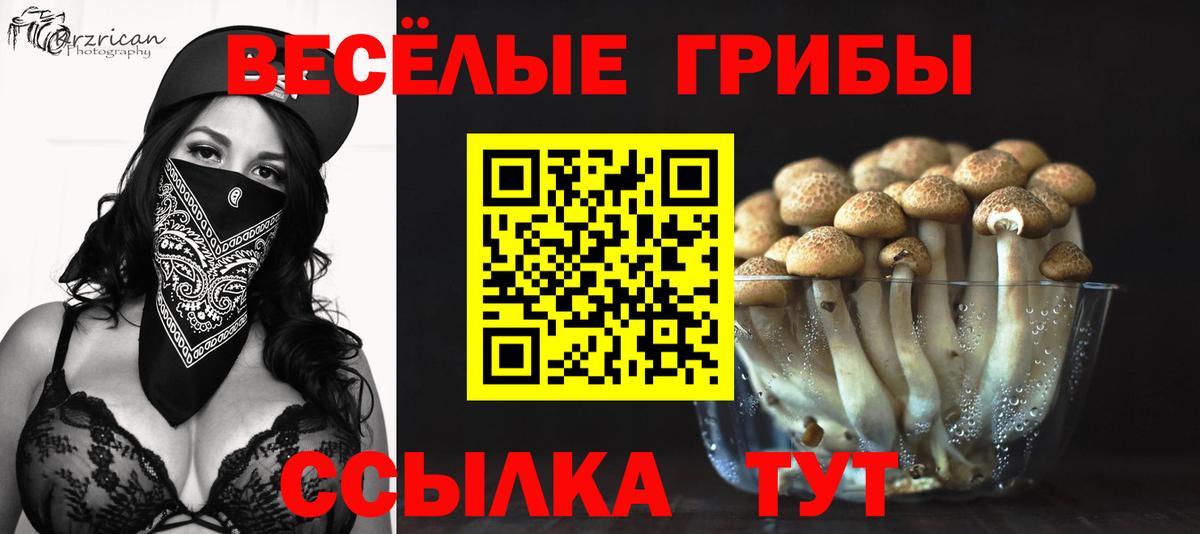 Богданович  продажа наркотиков  Вход с VPN  Псилоцибиновые грибы мицелий 